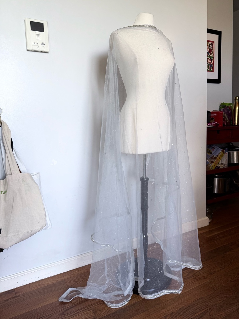 Sheer Silver Sparkle Draped Veil / Sari Drape